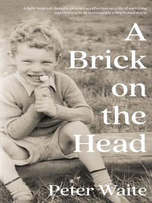 cover image of A Brick on the Head